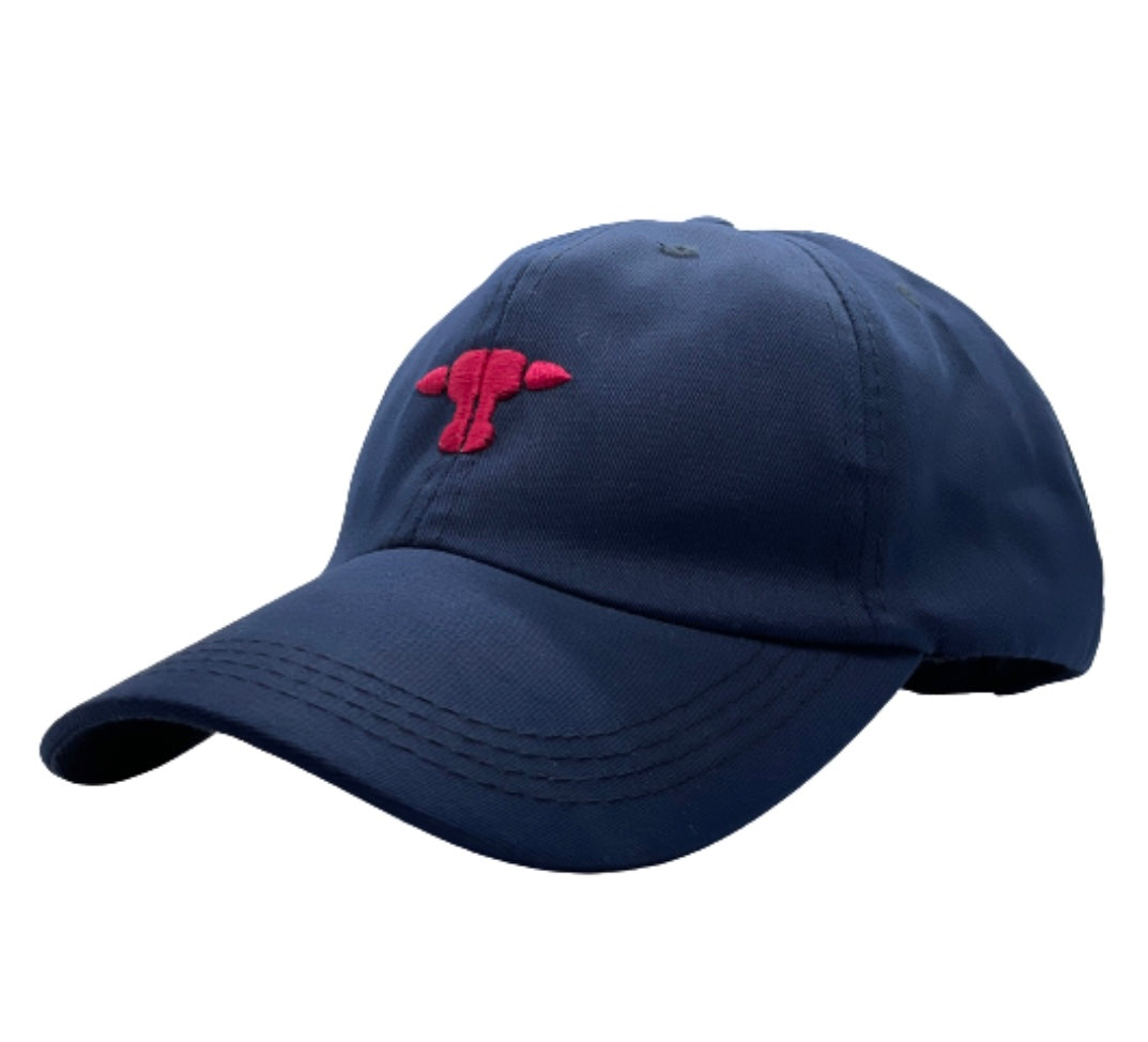 Gorra Azul / Fucsia
