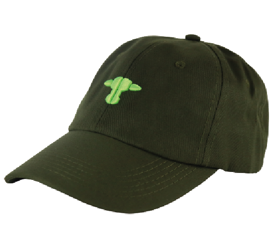 Gorra Verde militar / Verde
